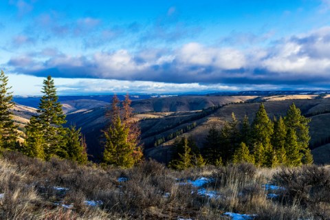 The Farmers' Almanac is Predicting Cool Temperatures And Normal Precipitation This Winter In Oregon