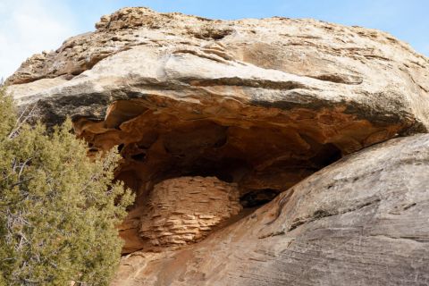 This Beautiful Canyonlands Trail In Utah Will Take You To The Original Roadside Ruin