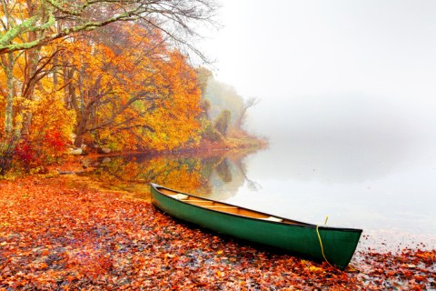 When And Where To Expect Massachusetts' Fall Foliage To Peak This Year