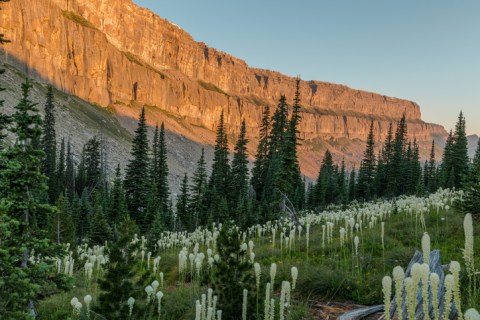 The Unique, Out-Of-The-Way Natural Wonder In Montana That's Always Worth A Visit