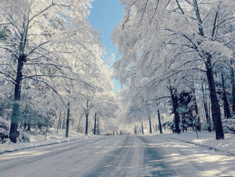 Get Ready To Bundle Up, The Farmers Almanac is Predicting Below Average Temperatures This Winter In North Carolina