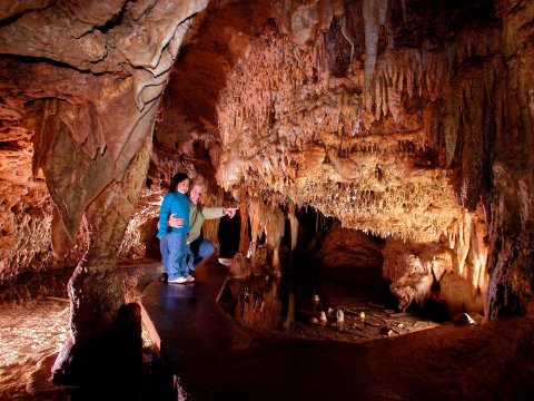 Take Home 300-Million-Year-Old Fossils When You Visit Cave of the Mounds In Wisconsin