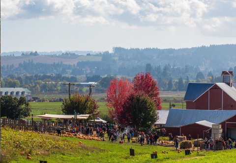 The Apple Butter Festival At Oregon Heritage Farms In Oregon Where You'll Have Loads Of Delicious Fun