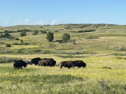 The Sperati Point Trail In North Dakota Takes You From Caprock Coulee To An Amazing View And Back