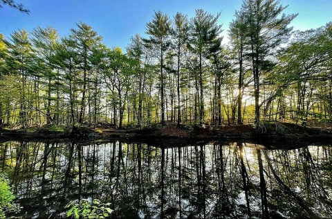 The Mine Falls Green Trail Loop In New Hampshire Takes You From The River To The Woods And Back