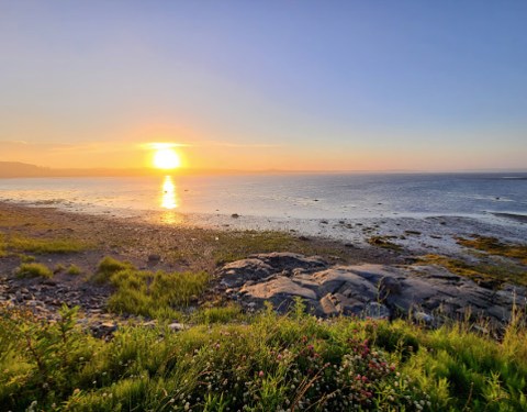 The Bog Trail At Quoddy Head State Park In Maine Is Less Than A Mile But More Than A Dream