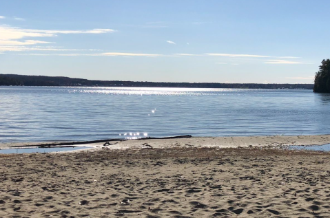 The Allen Trail In Vermont Takes You From A Forest Path To The Lakeshore And Back