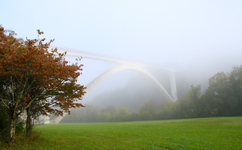 The Remarkable Bridge Near Nashville That Everyone Should Visit At Least Once