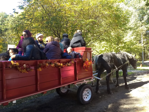 7 Harvest Festivals Around Detroit That Will Make Your Autumn Awesome