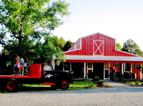 Pick Your Own Pumpkins And Celebrate Fall This Year At Lucky Ladd Farms Near Nashville