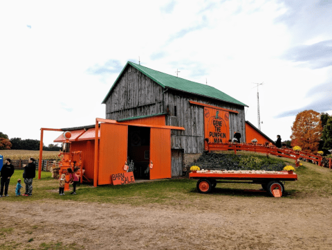 A Visit To Gene The Pumpkin Man In Michigan Will Bring Your Fall Decor Dreams To Life