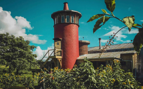 This Silo Airbnb In Virginia Is The Ultimate Countryside Getaway