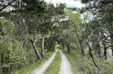 The Island Beach State Park Loop In New Jersey Takes You From The Bay To The Beach And Back