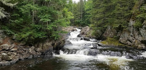 Be Sure To Watch Your Step On The Falls In The River Trail In New Hampshire