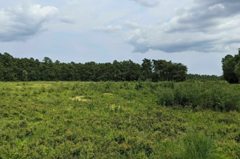 Keep An Eye Out For UFOs And Aliens On A Hike Through One Of New Jersey's Creepiest Parks