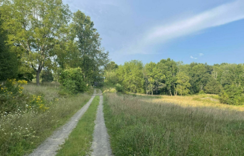 Climb Thousands Of Feet Into The Air On This New Jersey Trail That's For Experienced Hikers Only