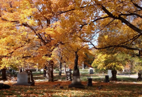 The Gorgeous 2.9-Mile Hike Near City In Cleveland's Lake View Cemetery That Will Lead You Past A River And A Lake