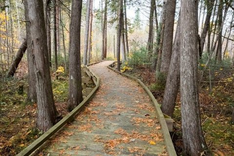 Experience Glacial Formations, Charming Trail Towns, And Breathtaking Scenery When You Join Wisconsin's Mammoth Hike Challenge