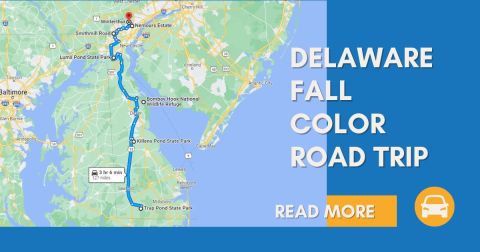 Take This Gorgeous Fall Foliage Road Trip To See Delaware Like Never Before