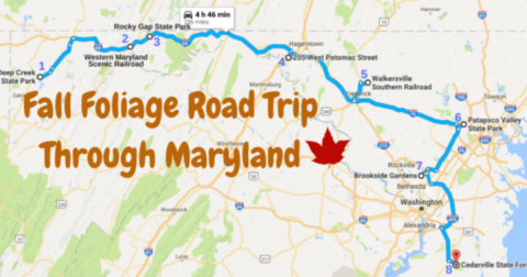 Take A Beautiful Fall Foliage Road Trip To See Maryland Autumn Colors