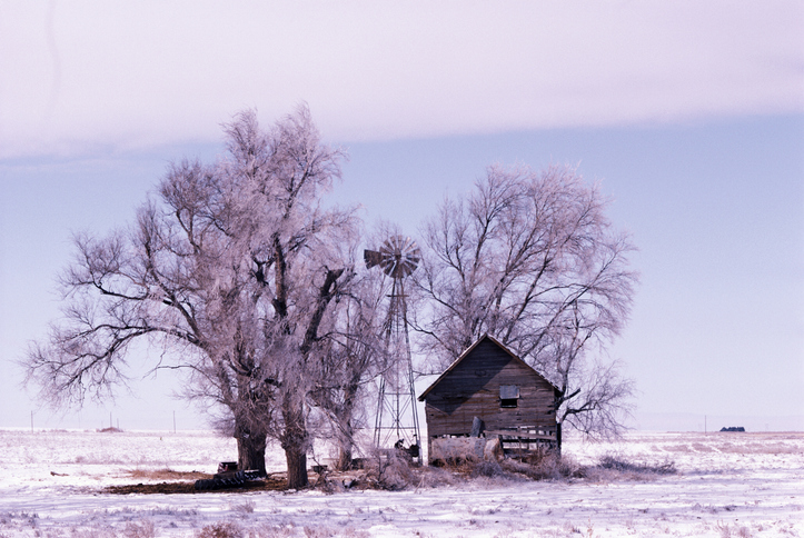 Kansas banner image