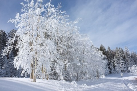 Get Ready To Bundle Up, The Farmers' Almanac is Predicting Freezing Cold Temperatures This Winter In New Mexico