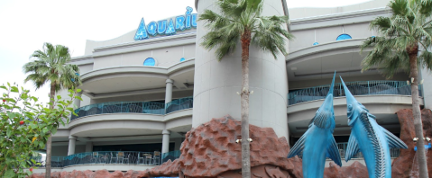 The Downtown Aquarium In Texas Has Officially Been Named One Of The Best In The Country