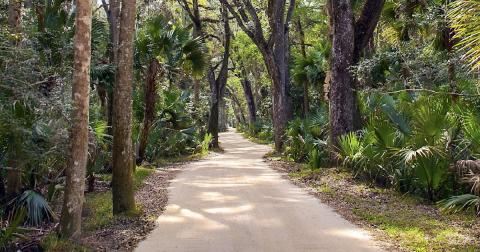 A Mysterious Woodland Trail In Florida Will Take You To The Original Bulow Plantation Ruins