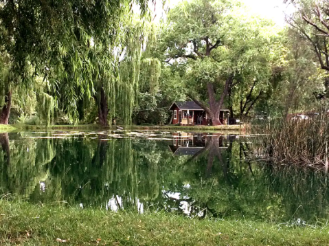 Enjoy Your Own Private Pond When You Spend The Night In This Quaint Arizona Cottage