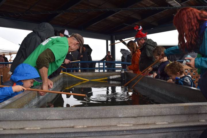 Dungeness Crab & Seafood Festival