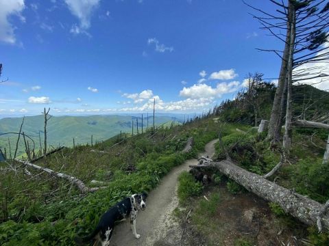 You Have Until The End Of October To Conquer North Carolina's Deep Gap Trail