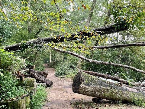 The Island Ford Trail In Georgia Is A Pocket Of Nature You Wouldn’t Expect Outside The Capital City