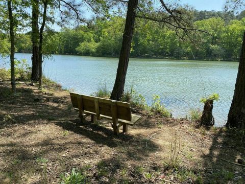 The Scenic Shoreline Trail In South Carolina Takes You On Four Miles Of Loops Along The Waterfront