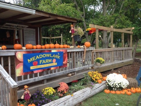 With More Than 4,000 Fruit Trees, Meadowlark Farm Is The Ultimate U-Pick Farm In Kansas