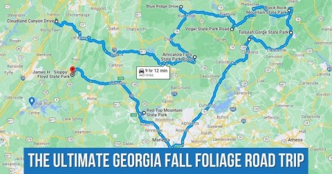 Take This Gorgeous Fall Foliage Road Trip To See Georgia Like Never Before