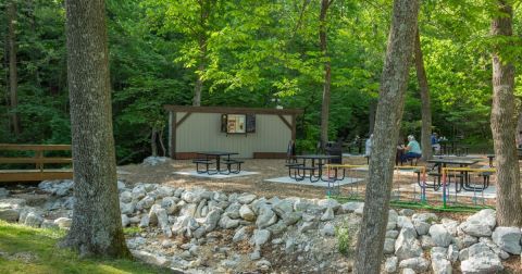 Housed In A Refurbished Shipping Container, Gear Garden Is The Most Unique Beer Garden In Arkansas      