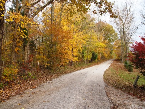 The One Hikeable Lake In Indiana That's Simply Breathtaking In The Fall