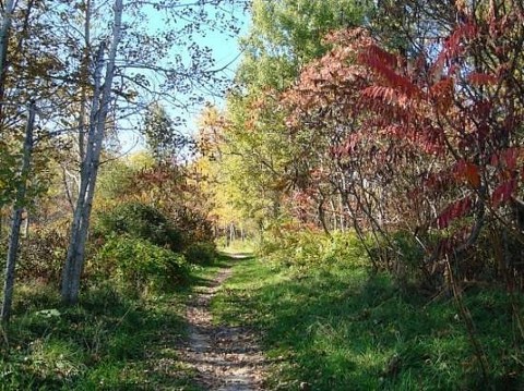 This Beautiful 224-Acre Botanical Garden In Maine Is A Sight To Be Seen