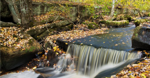 Take This Gorgeous Fall Foliage Road Trip To See Rhode Island Like Never Before