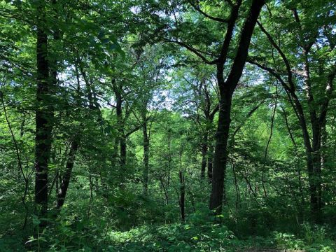 Cross A Bridge, Walk Through A Forest, And Explore A Prairie On This 2.2-Mile Trail In Kansas