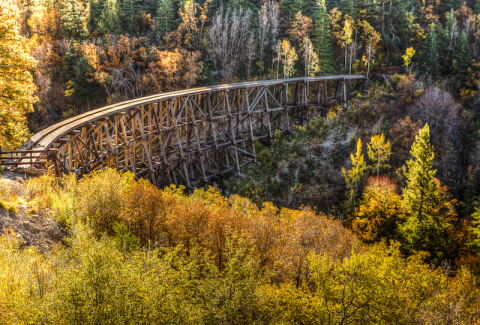 When And Where To Expect New Mexico’s Fall Foliage To Peak This Year