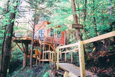 Spend The Night Stargazing In A Treehouse Near Red River Gorge In Kentucky