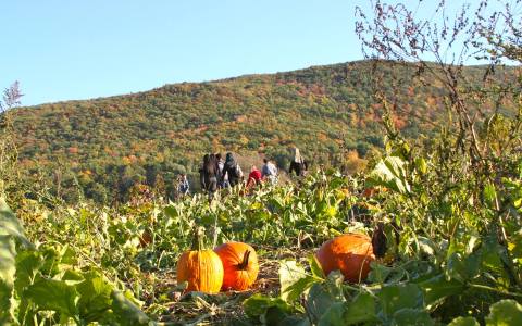 The Great Pumpkin Festival In New Jersey Is A Classic Fall Tradition