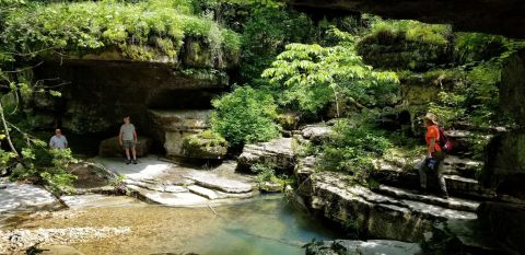 This Secluded Arkansas Cave Is One Of The Only Places You'll Find Albino Crayfish     