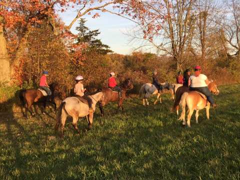 Take A Fall Foliage Trail Ride On Horseback At Stirrup Fun Stables In Connecticut