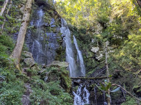 The Lee Falls Trail Just Might Be The Most Beautiful Hike In All Of South Carolina