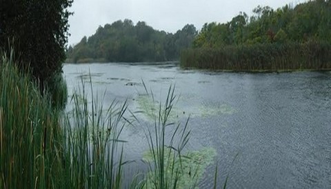 An Easy But Gorgeous Hike, The Canonchet Farm Trail Leads To A Little-Known River In Rhode Island