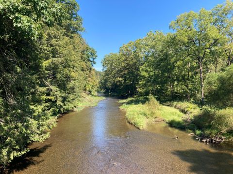 With An Ancient Gorge And 50-Foot Cliffs, Wolf Creek Narrows Natural Area Near Pittsburgh Is Worthy Of Adventure