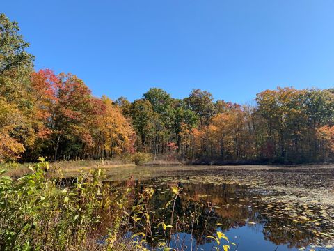 The Connecticut Ghost Town That's Perfect For An Autumn Day Trip