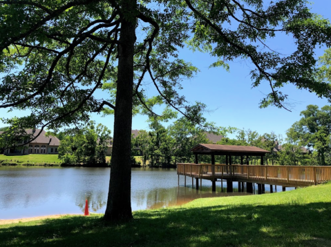 With Over 150 Acres To Explore, Kiroli Park In Louisiana Just Gets Better And Better Every Year